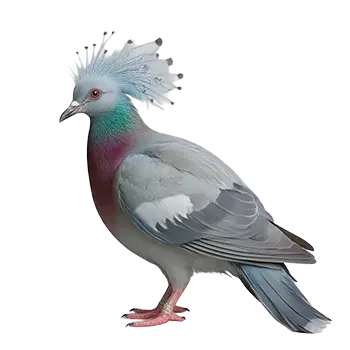 Victoria Crowned Pigeon Species Guide - Furry Critter Network